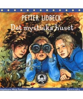 Det mystiska huset