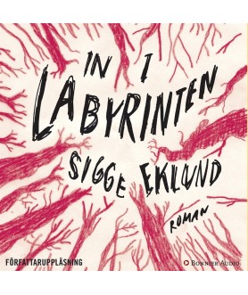 In i labyrinten