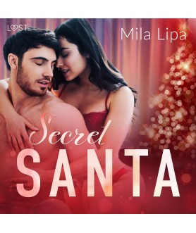 Secret Santa – erotisk novell