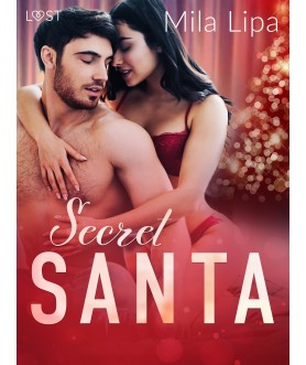 Secret Santa – erotisk novell