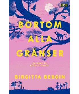 Bortom alla gränser