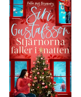 Stjärnorna faller i natten