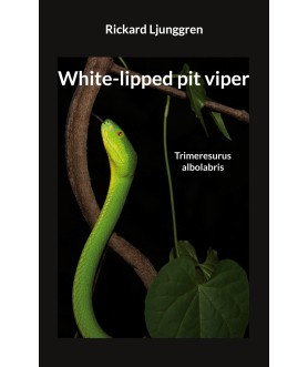 White-lipped pit viper:...