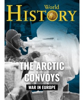 The Arctic Convoys