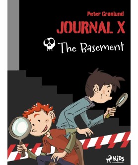 Journal X - The Basement