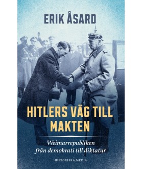 Hitlers väg till makten