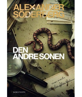 Den andre sonen