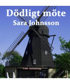 Dödligt möte