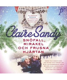 Snöfall, mirakel och frusna...