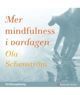 Mer mindfulness i vardagen