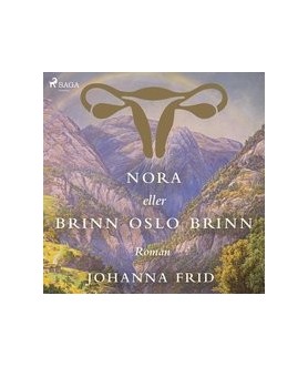 Nora eller Brinn Oslo brinn