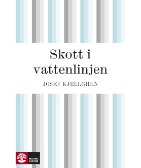 Skott i vattenlinjen