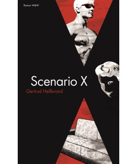 Scenario X